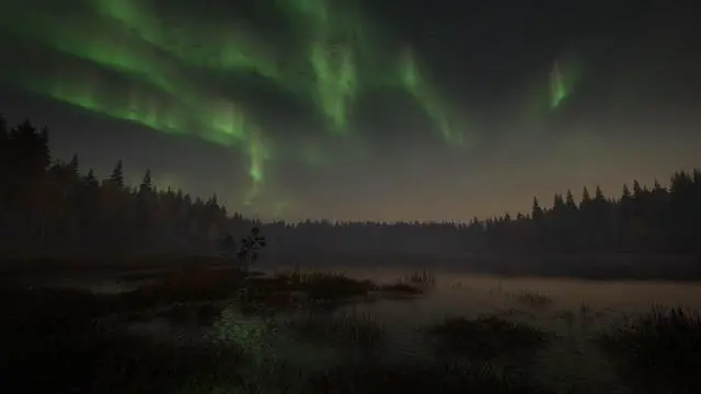 Alt view image 3 of 6 - theHunter: Call of the Wild™ - Revontuli Coast - PC [Steam Online Game Code]