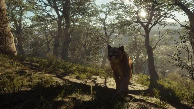 Alt view image 7 of 10 - theHunter: Call of the Wild™ - Parque Fernando - PC [Steam Online Game Code]