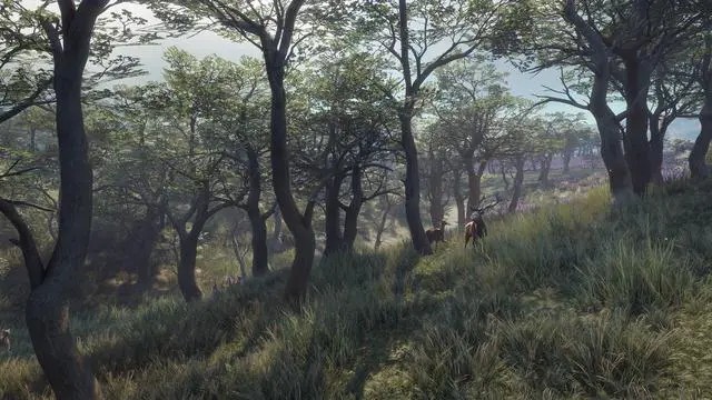 Alt view image 10 of 10 - theHunter: Call of the Wild™ - Parque Fernando - PC [Steam Online Game Code]