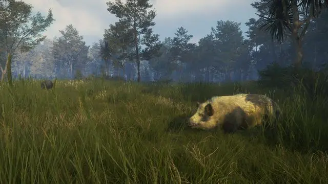 Alt view image 2 of 13 - theHunter: Call of the Wild™ - Te Awaroa National Park - PC [Steam Online Game Code]