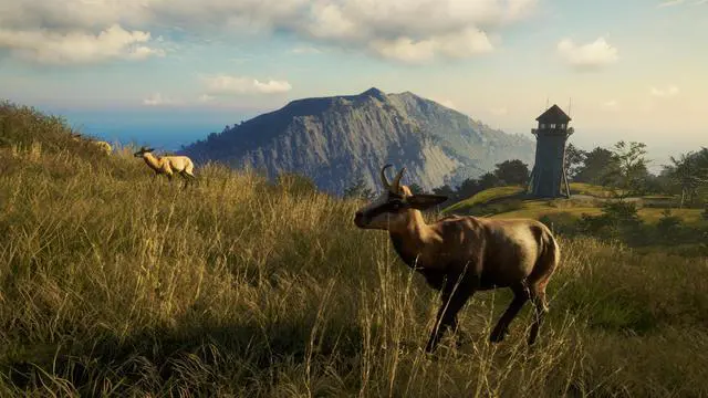 Alt view image 6 of 13 - theHunter: Call of the Wild™ - Te Awaroa National Park - PC [Steam Online Game Code]