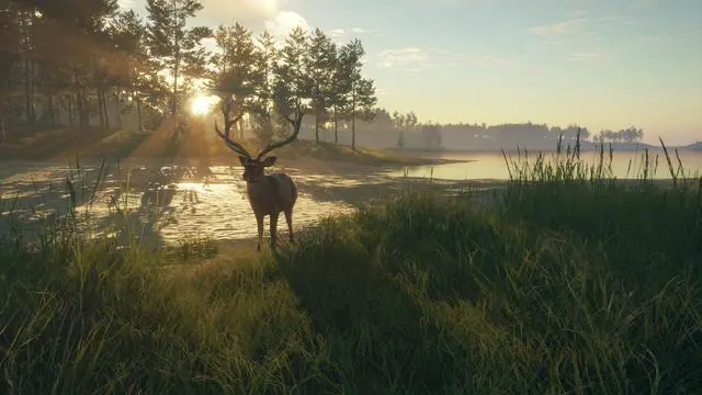 Alt view image 13 of 13 - theHunter: Call of the Wild™ - Te Awaroa National Park - PC [Steam Online Game Code]