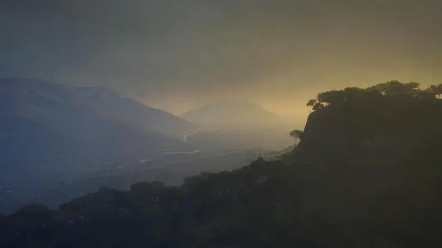 Alt view image 6 of 15 - theHunter: Call of the Wild™ - Emerald Coast Australia - PC [Steam Online Game Code]