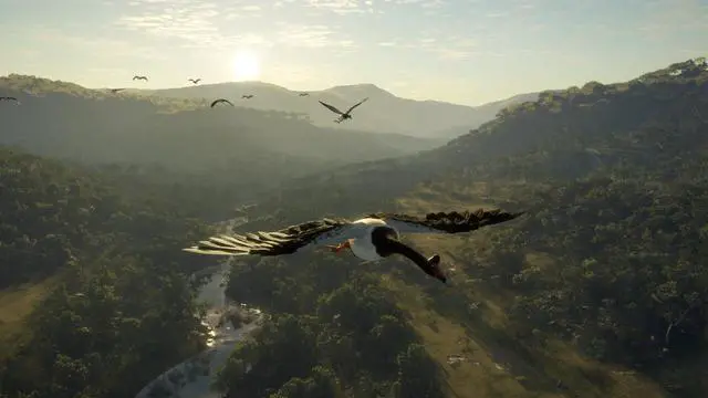 Alt view image 9 of 15 - theHunter: Call of the Wild™ - Emerald Coast Australia - PC [Steam Online Game Code]