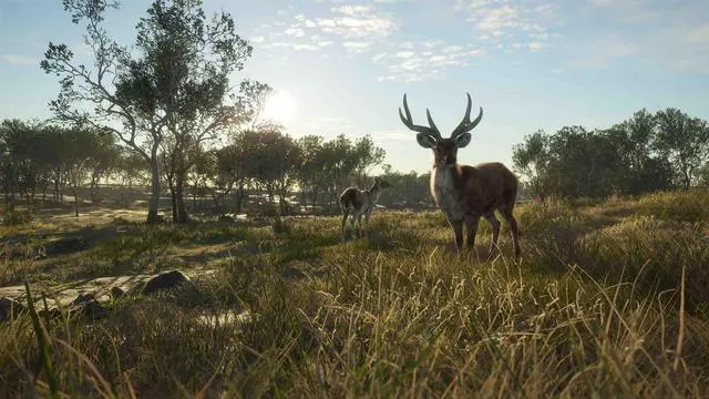Alt view image 14 of 15 - theHunter: Call of the Wild™ - Emerald Coast Australia - PC [Steam Online Game Code]