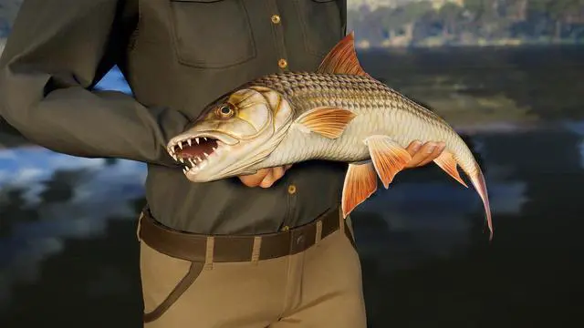 Alt view image 6 of 11 - Call of the Wild: The Angler™ - South Africa Reserve - PC [Steam Online Game Code]
