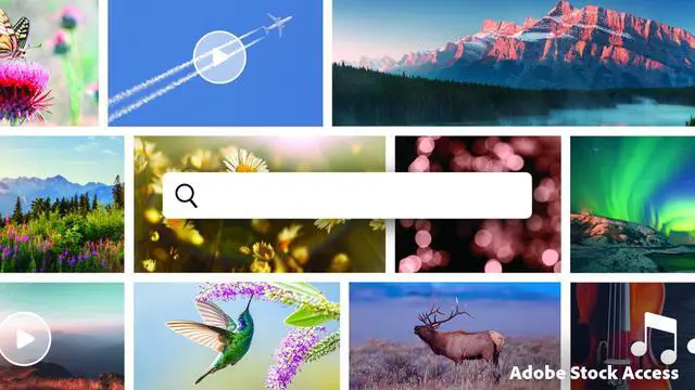 Alt view image 3 of 8 - Adobe Premiere Elements 2026 | PC/Mac | Software Download | Video Editing | 3-year term license | Activation Required