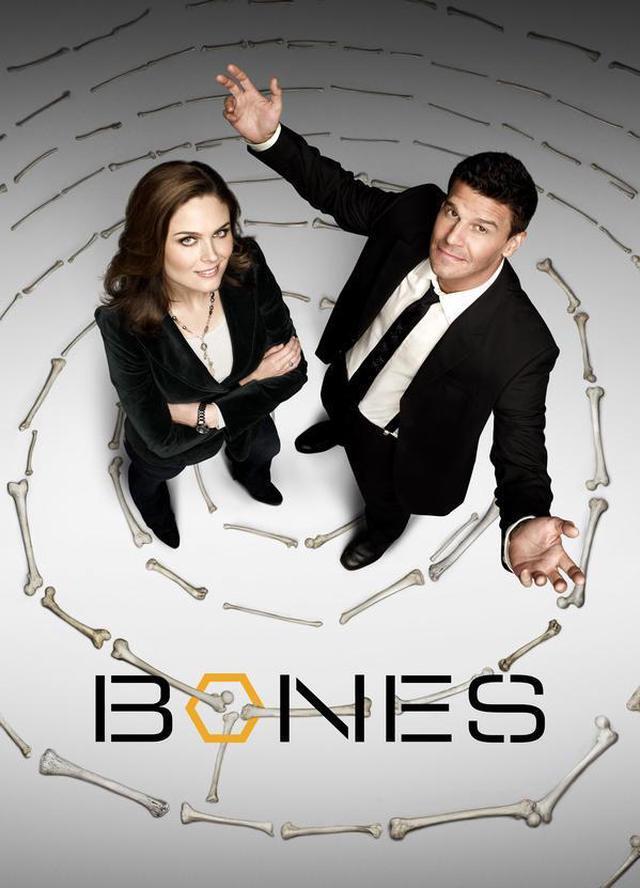 Main image of Bones: Season 5 Episode 18 - The Predator In The Pool [HD] [Buy]