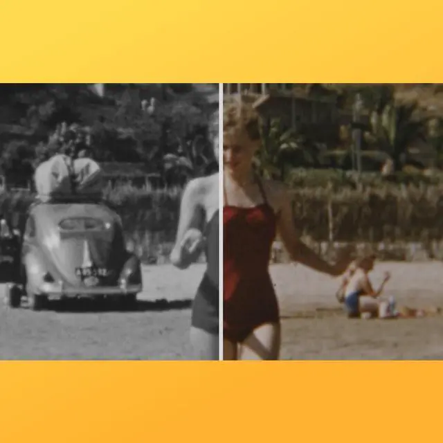 Alt view image 4 of 7 - MAGIX Movie Studio 2025 - Download