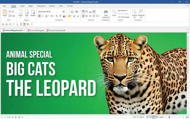 Alt view image 6 of 6 - SoftMaker FlexiPDF 2025 for Windows (3-Devices) - Download