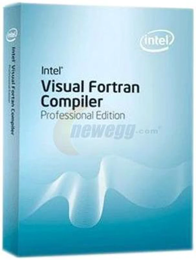 Intel Fortran Compiler 11.1 Professional-Linux Box 1S - Newegg.com