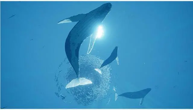 Alt view image 4 of 7 - ABZU [Online Game Code]