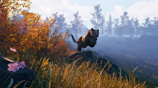Alt view image 11 of 15 - Open Country  [Online Game Code]