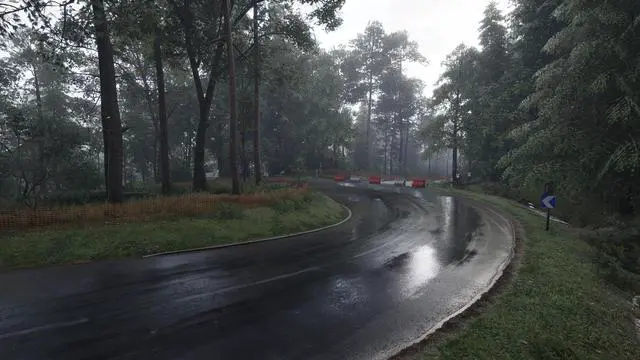 Alt view image 6 of 20 - Assetto Corsa Rally - PC [Steam Online Game Code]
