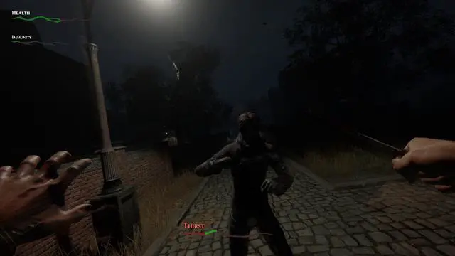Alt view image 4 of 11 - Pathologic 2 - PC [Steam Online Game Code]