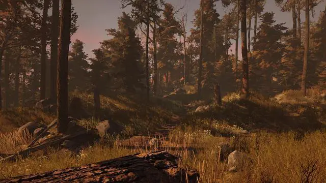 Alt view image 8 of 12 - Through the Woods  [Online Game Code]