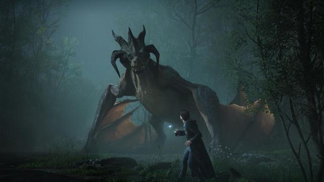 Alt view image 6 of 10 - Hogwarts Legacy - PC [Steam Game Code]