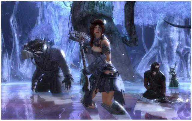 Alt view image 6 of 11 - Guild Wars 2 PC Game