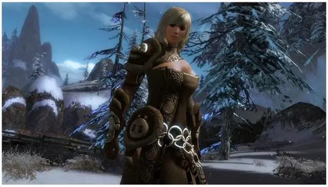 Alt view image 8 of 11 - Guild Wars 2 PC Game