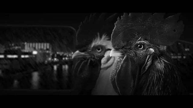 Alt view image 2 of 16 - Chicken Police - Paint it RED!  [Online Game Code]