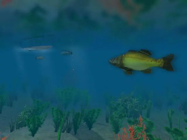 Alt view image 5 of 9 - European Fishing [Online Game Code]