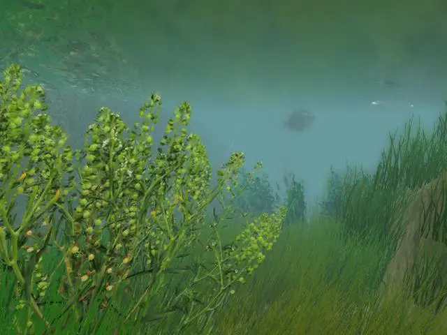 Alt view image 9 of 9 - European Fishing [Online Game Code]