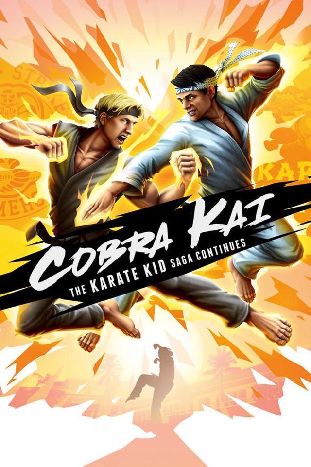 Cobra Kai The Karate Kid Saga Continues Switch