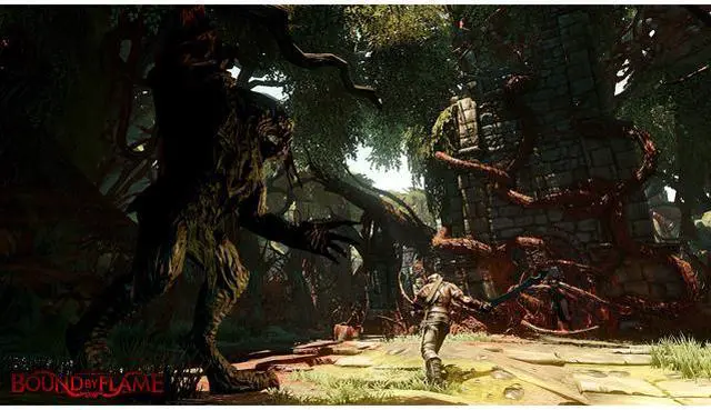 Alt view image 10 of 10 - Bound by Flame [Online Game Code]