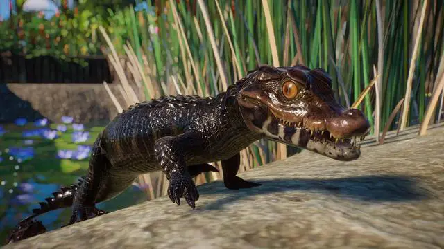 Alt view image 5 of 9 - Planet Zoo: Aquatic Pack - PC [Steam Online Game Code]