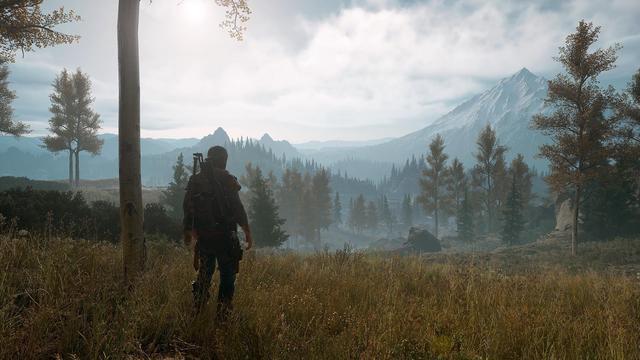 Alt view image 6 of 11 - Days Gone - PC [Steam Online Game Code]
