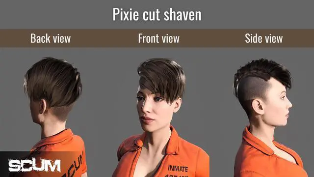 Alt view image 10 of 15 - SCUM Female Hair Pack - PC [Steam Online Game Code]