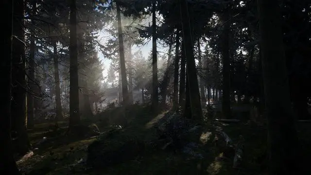 Alt view image 14 of 14 - Winter Survival - PC [Steam Online Game Code]