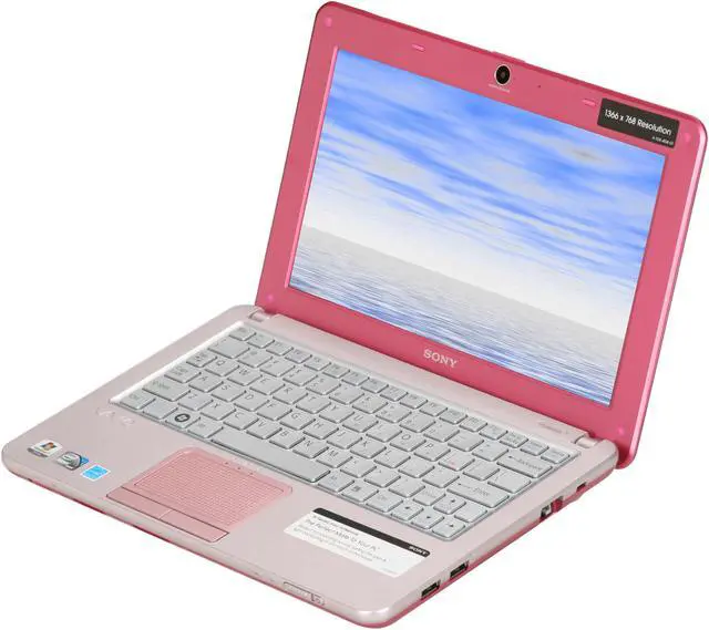 SONY VAIO W Series VPCW121AX/P Pink 10.1