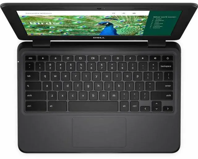 Alt view image 4 of 5 - Dell Chromebook 3000 3120 11.6" Touchscreen Chromebook - Intel N-Series N100 - 8 GB - 64 GB Flash Memory - ChromeOS - Intel UHD Graphics - Webcam - IEEE 802.11ax Wireless LAN Standard NGWKN