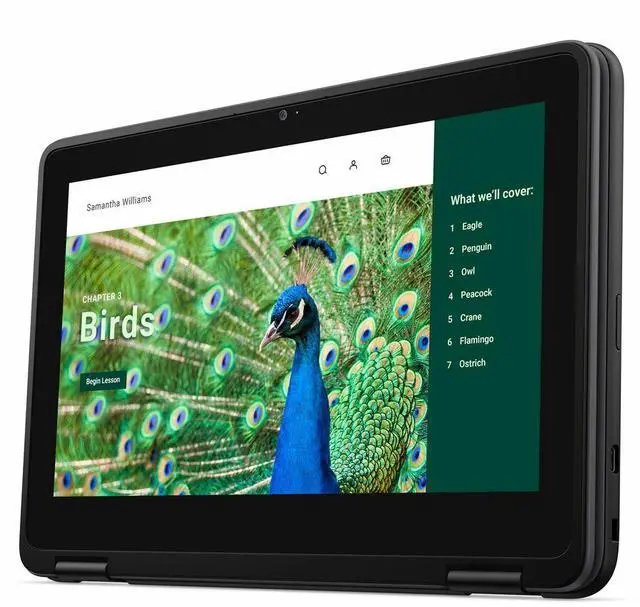 Alt view image 5 of 5 - Dell Chromebook 3000 3120 11.6" Touchscreen Chromebook - Intel N-Series N100 - 8 GB - 64 GB Flash Memory - ChromeOS - Intel UHD Graphics - Webcam - IEEE 802.11ax Wireless LAN Standard NGWKN