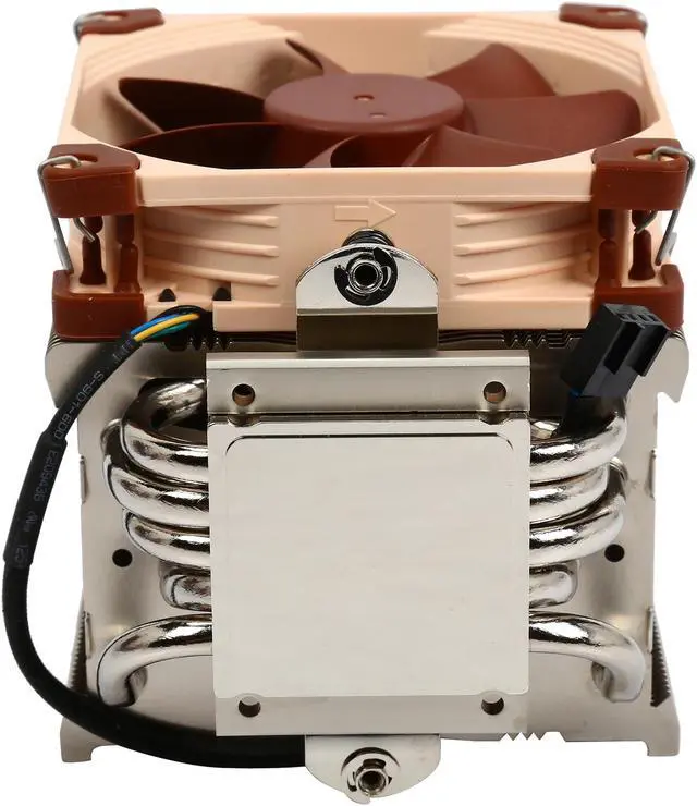 Noctua