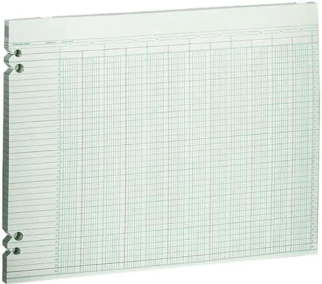 Main image of Wilson Jones G30-20 Accounting Sheets, 20 Columns, 11 x 14, 100 Loose Sheets/Pack, Green
