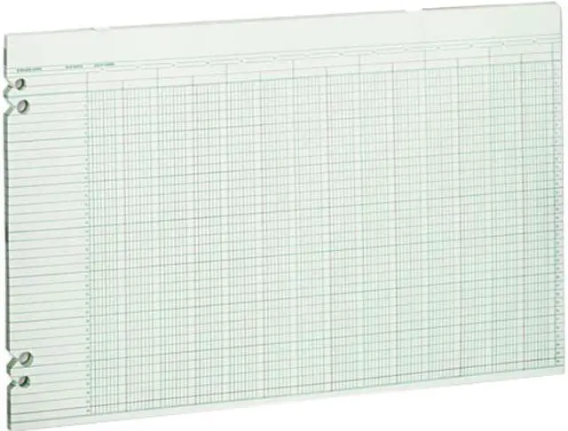 Main image of Wilson Jones G50-24 Accounting Sheets, 24 Columns, 11 x 17, 100 Loose Sheets/Pack, Green