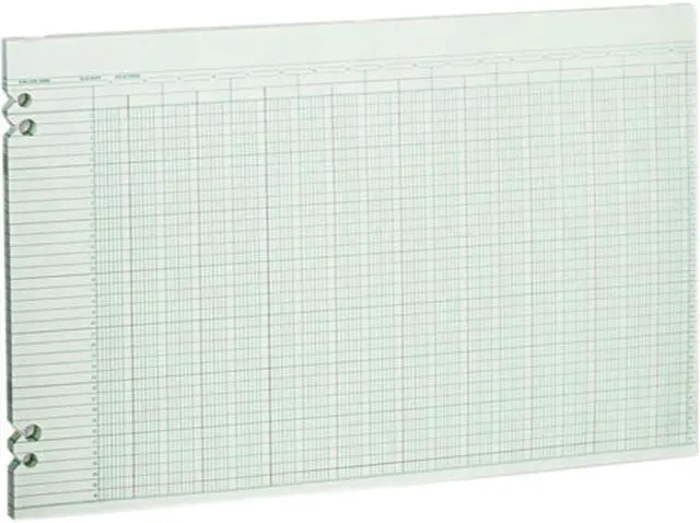 Main image of Wilson Jones G50-30 Accounting Sheets, 30 Columns, 11 x 17, 100 Loose Sheets/Pack, Green