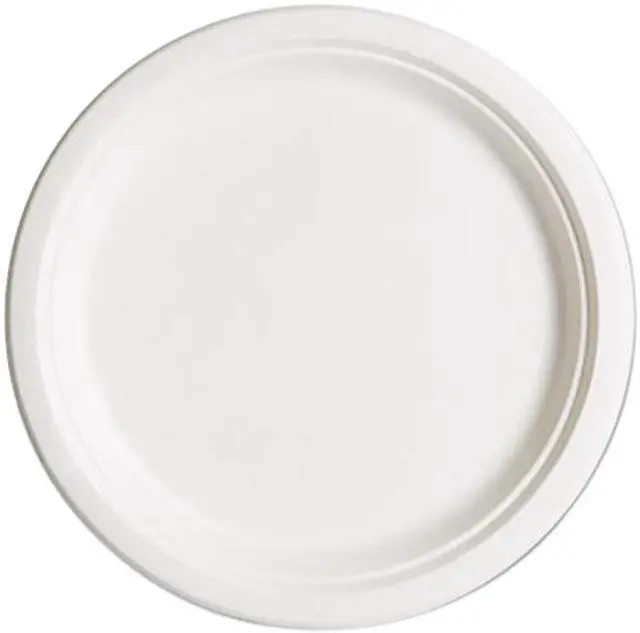 Main image of Eco-Products EPP005 Compostable Sugarcane Dinnerware, 10" Plate, Natural White, 500/Carton