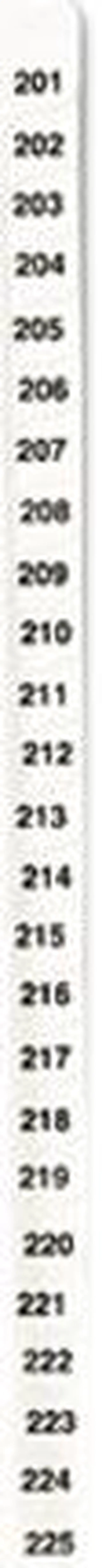 Main image of Avery 01338 Avery-Style Legal Side Tab Divider, Title: 201-225, Letter, White, 1 Set