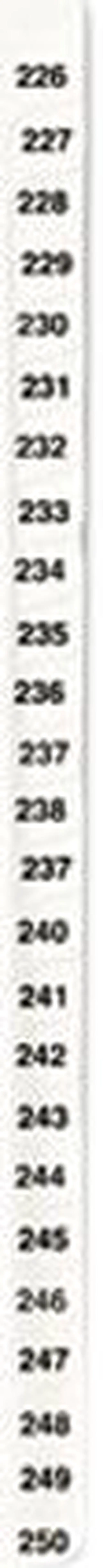 Main image of Avery 01339 Avery-Style Legal Side Tab Divider, Title: 226-250, Letter, White, 1 Set