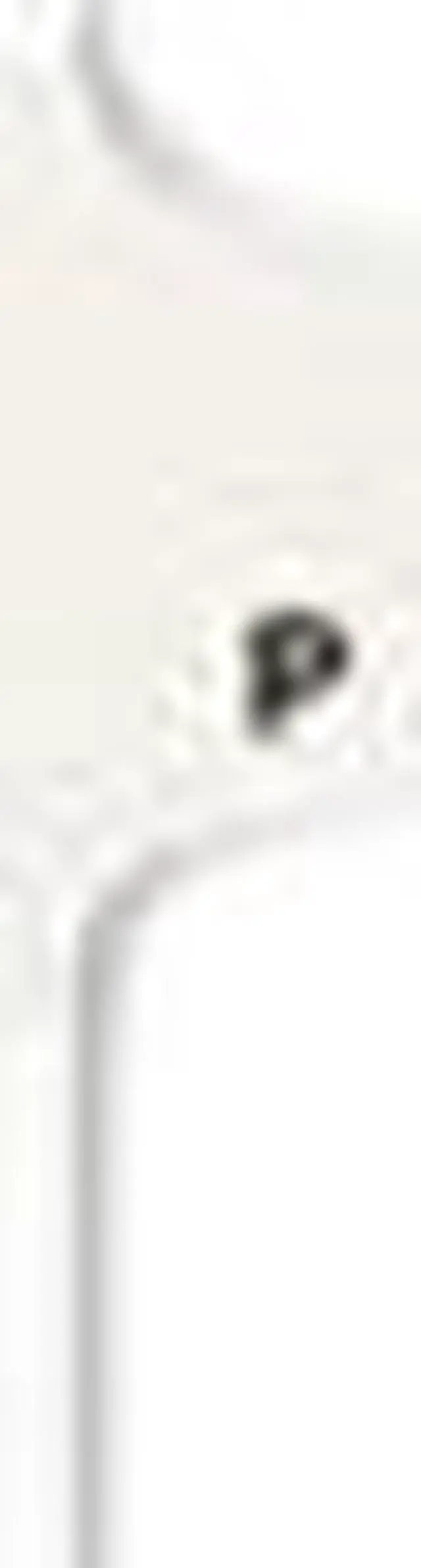 Main image of Avery 01416 Avery-Style Legal Side Tab Dividers, One-Tab, Title P, Letter, White, 25/Pack