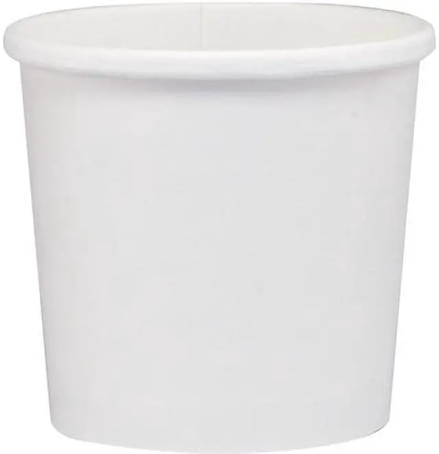 Solo Cup HS4125-2050 DSP Paper Food Containers, 12 oz, White - Newegg.com