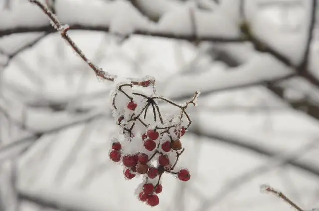 Alt view image 4 of 5 - 1800Mbps Router Dual Band 2.4G/5Ghz AX1800 Gigabit Rate Wireless Internet Router With USB 3.0 WLAN LAN