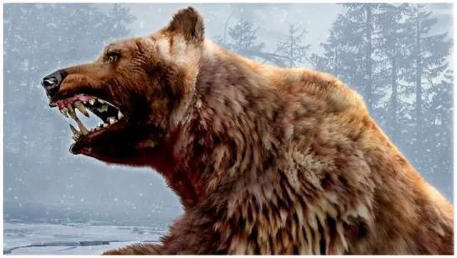 Alt view image 4 of 7 - Cabela's Dangerous Hunts 2011 Gun Bundle Xbox 360 Game