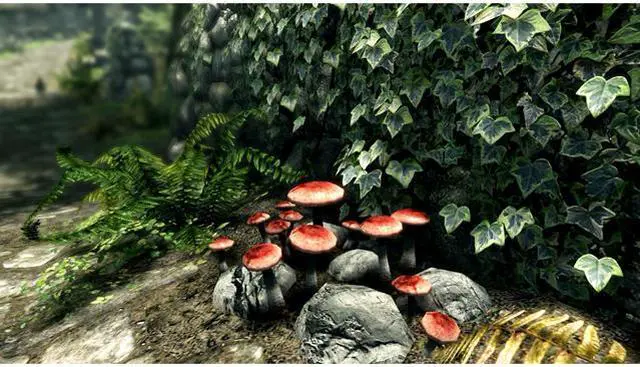 Alt view image 6 of 6 - The Elder Scrolls V: Skyrim Special Edition - Xbox One