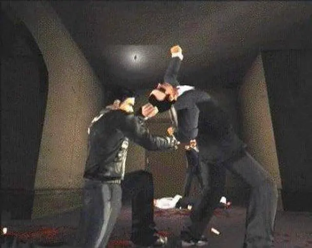 Alt view image 8 of 9 - Dead to Rights Game Cube game Namco