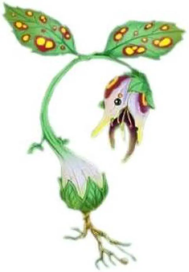 Alt view image 6 of 14 - Rune Factory 2: A Fantasy Harvest Moon Nintendo DS Game