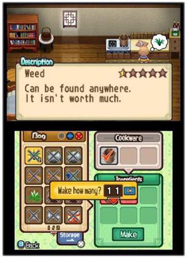 Alt view image 6 of 8 - Harvest Moon: Tale of Two Towns 3ds Nintendo 3DS Game